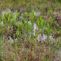 Blackwater Heritage State Trail - Milton