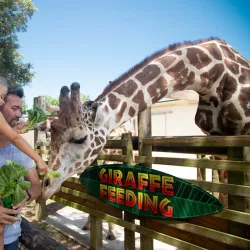 Gulf Breeze Zoo - Milton