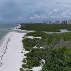 Clam Pass Park - Naples