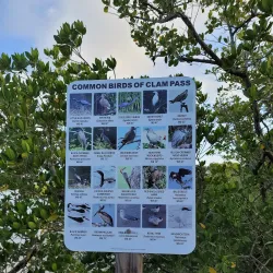 Clam Pass Park - Naples