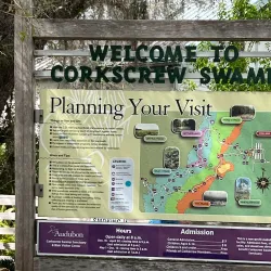 Corkscrew Swamp Sanctuary - Naples