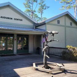 Corkscrew Swamp Sanctuary - Naples