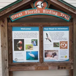 Corkscrew Swamp Sanctuary - Naples