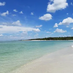 Delnor-Wiggins Pass State Park - Naples