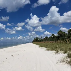 Delnor-Wiggins Pass State Park - Naples