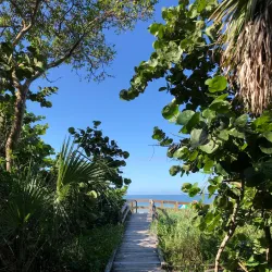 Delnor-Wiggins Pass State Park - Naples