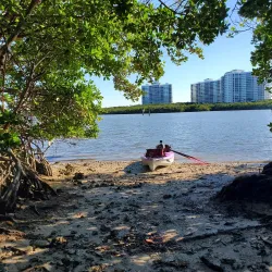 Delnor-Wiggins Pass State Park - Naples