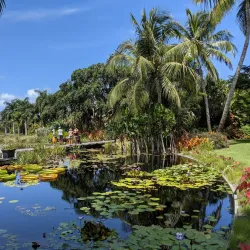 Naples Botanical Garden - Naples