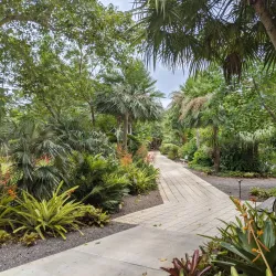 Naples Botanical Garden - Naples