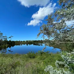 Naples Botanical Garden - Naples