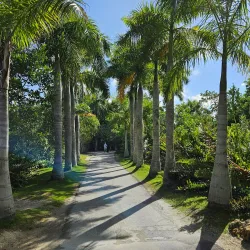 Naples Zoo at Caribbean Gardens - Naples