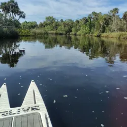 Pithlachascotee Riverwalk - New Port Richey