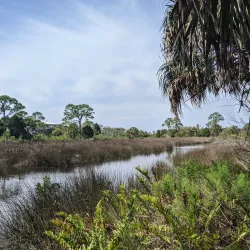 Werner-Boyce Salt Springs State Park - New Port Richey