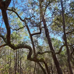 Fred Gannon Rocky Bayou State Park - Niceville