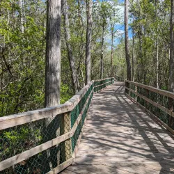 Turkey Creek Nature Trail - Niceville