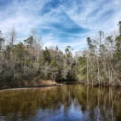 Turkey Creek Nature Trail - Niceville