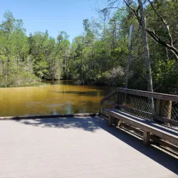 Turkey Creek Nature Trail - Niceville