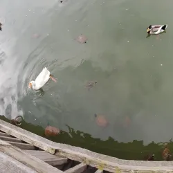 Twin Hills Nature Park - Niceville