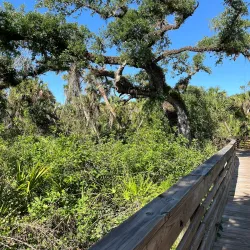 Canoe Creek Nature Preserve - North Port