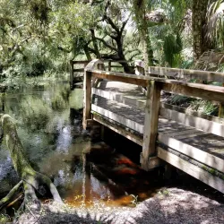 Myakkahatchee Creek Environmental Park - North Port