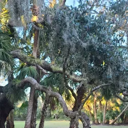 Myakkahatchee Creek Environmental Park - North Port