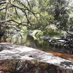 Myakkahatchee Creek Environmental Park - North Port