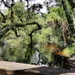 Myakkahatchee Creek Environmental Park - North Port