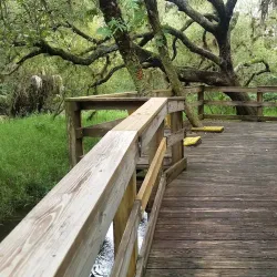 Myakkahatchee Creek Environmental Park - North Port