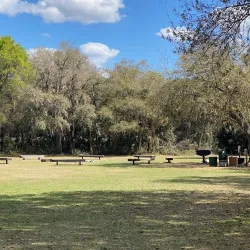 Myakkahatchee Creek Environmental Park - North Port