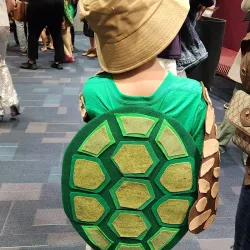 North Port Performing Arts Center - North Port