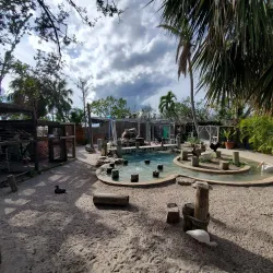 Peace River Wildlife Center - North Port