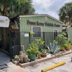 Peace River Wildlife Center - North Port