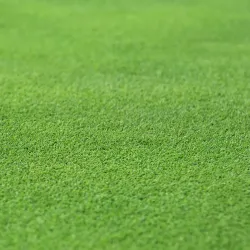 Sarasota National Golf Club - North Port