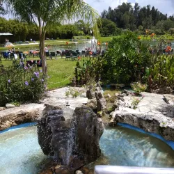 Warm Mineral Springs Park - North Port