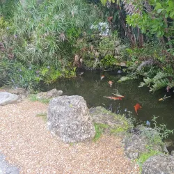 Warm Mineral Springs Park - North Port