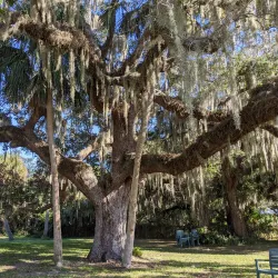 Warm Mineral Springs Park - North Port