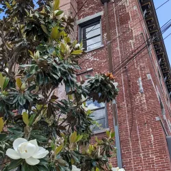 Historic Downtown Ocala - Ocala