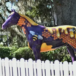 Historic Downtown Ocala - Ocala