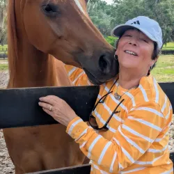 Marion County Horse Farms - Ocala