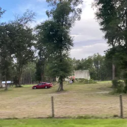 Ocala National Forest - Ocala