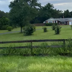 Ocala National Forest - Ocala