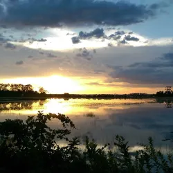 Ocala National Forest - Ocala