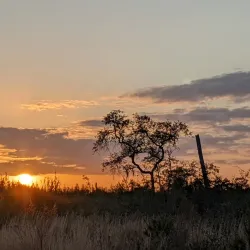Ocala National Forest - Ocala
