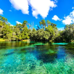 Rainbow Springs State Park - Ocala
