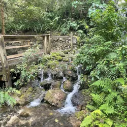 Rainbow Springs State Park - Ocala