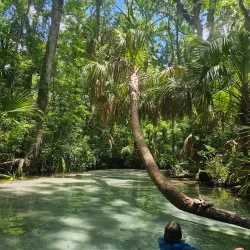 Rainbow Springs State Park - Ocala
