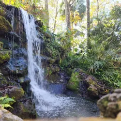 Rainbow Springs State Park - Ocala