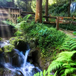 Rainbow Springs State Park - Ocala