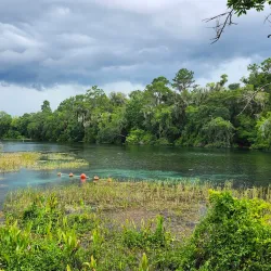 Rainbow Springs State Park - Ocala