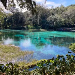 Rainbow Springs State Park - Ocala